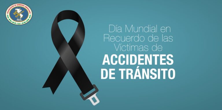 dias internacionales tráfico