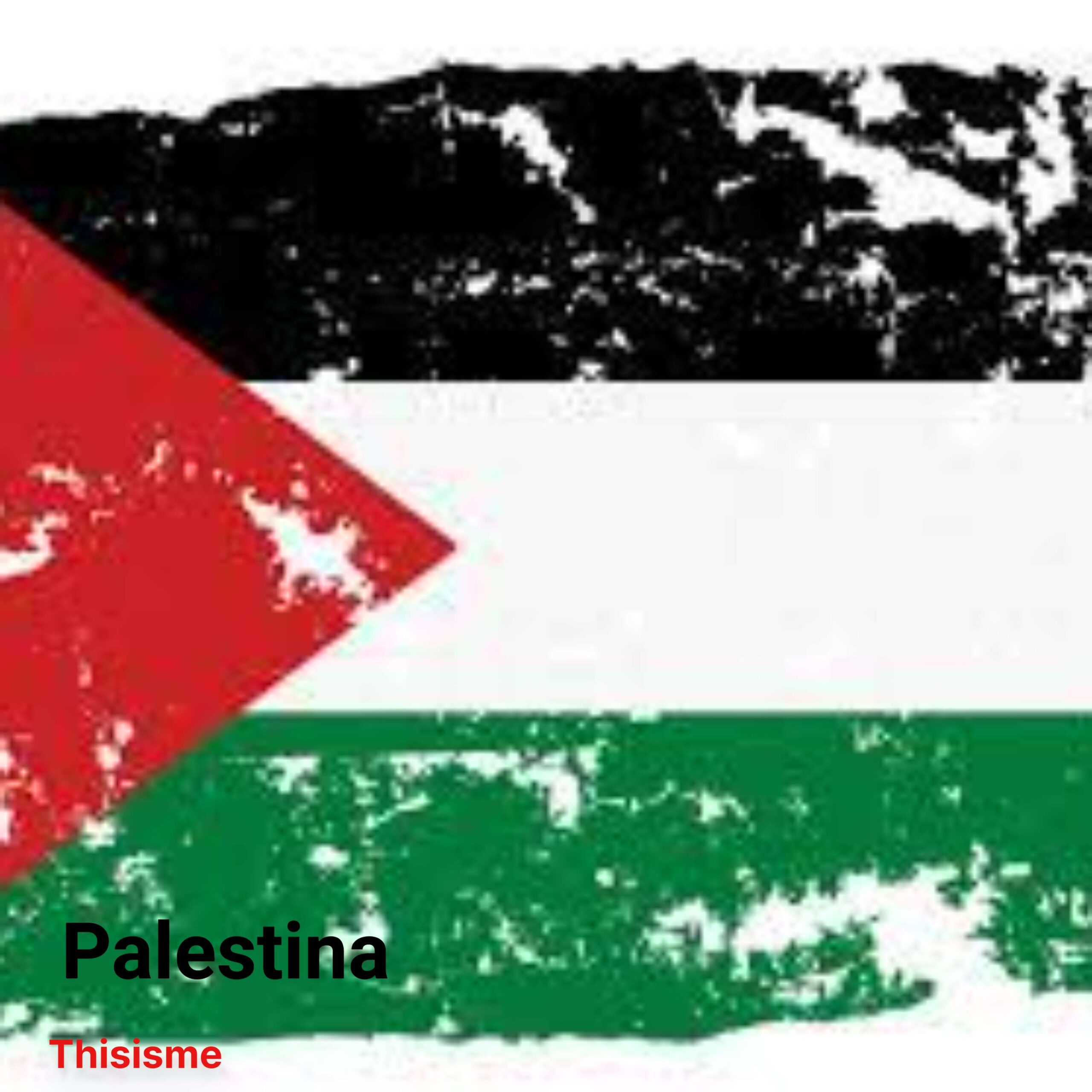 Palestina episode artwork